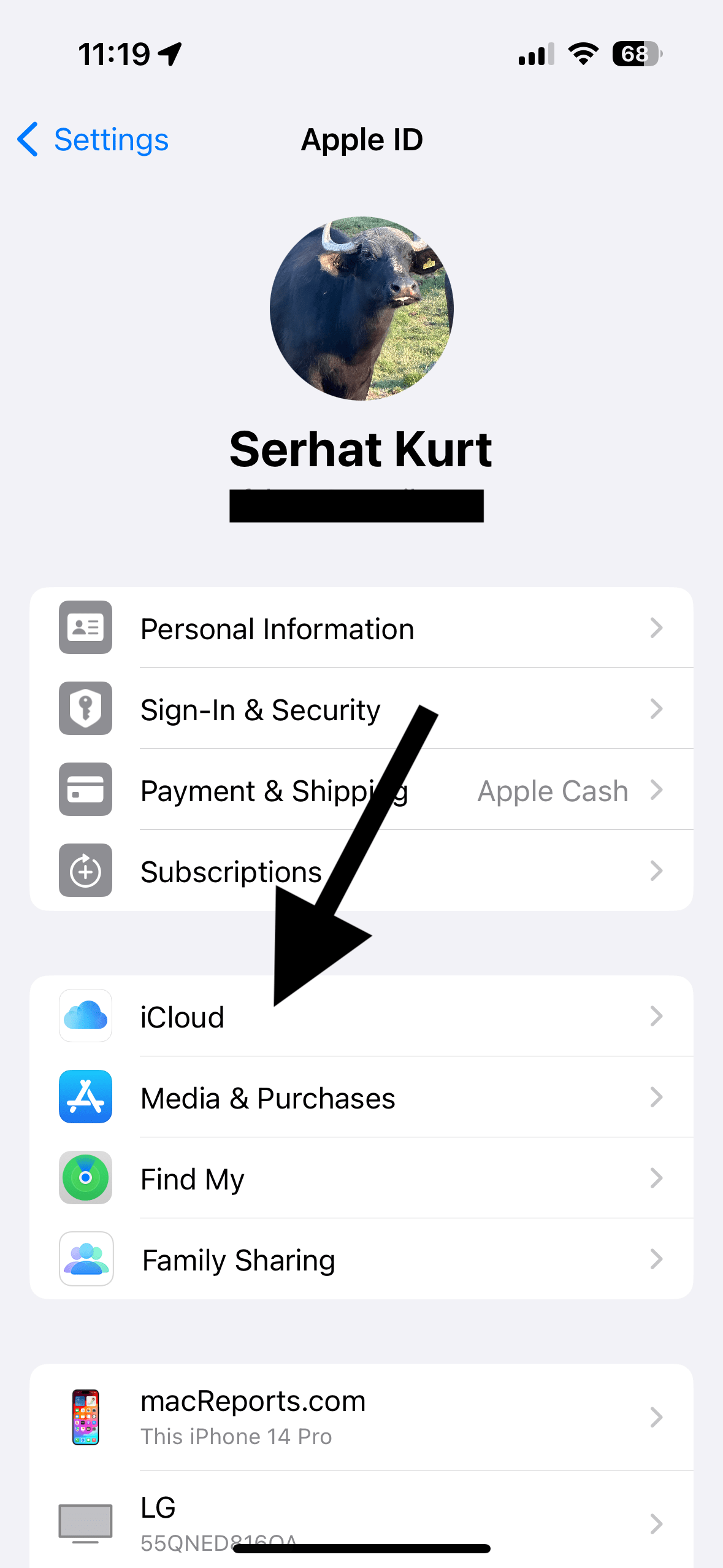 iCloud option in Settings