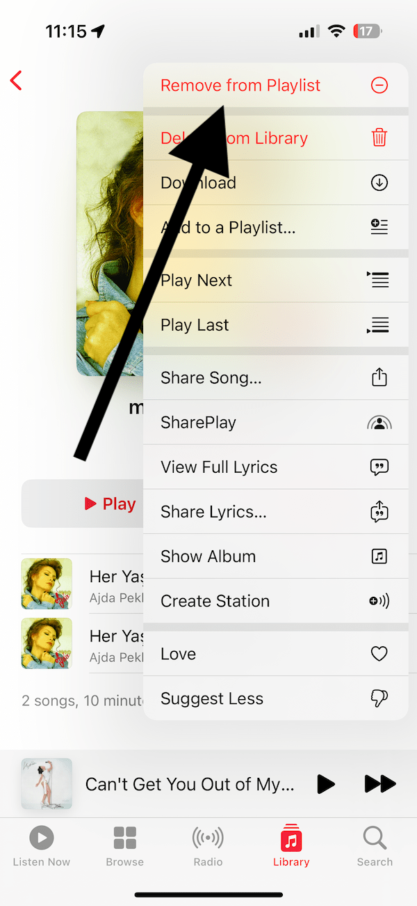 Remove from Playlist option