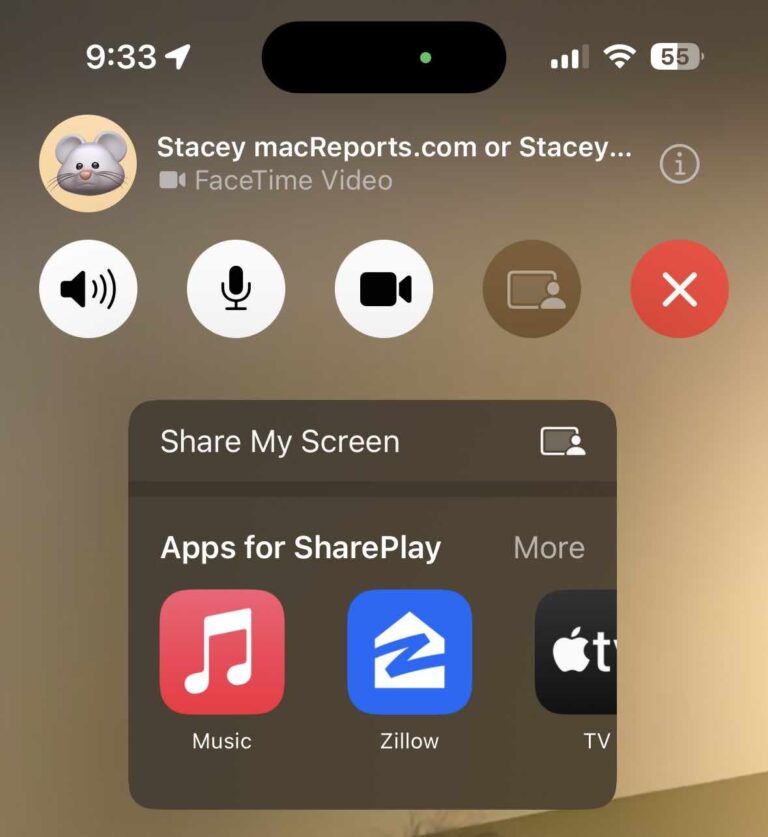 FaceTime Screen Share Not Working, How to Fix