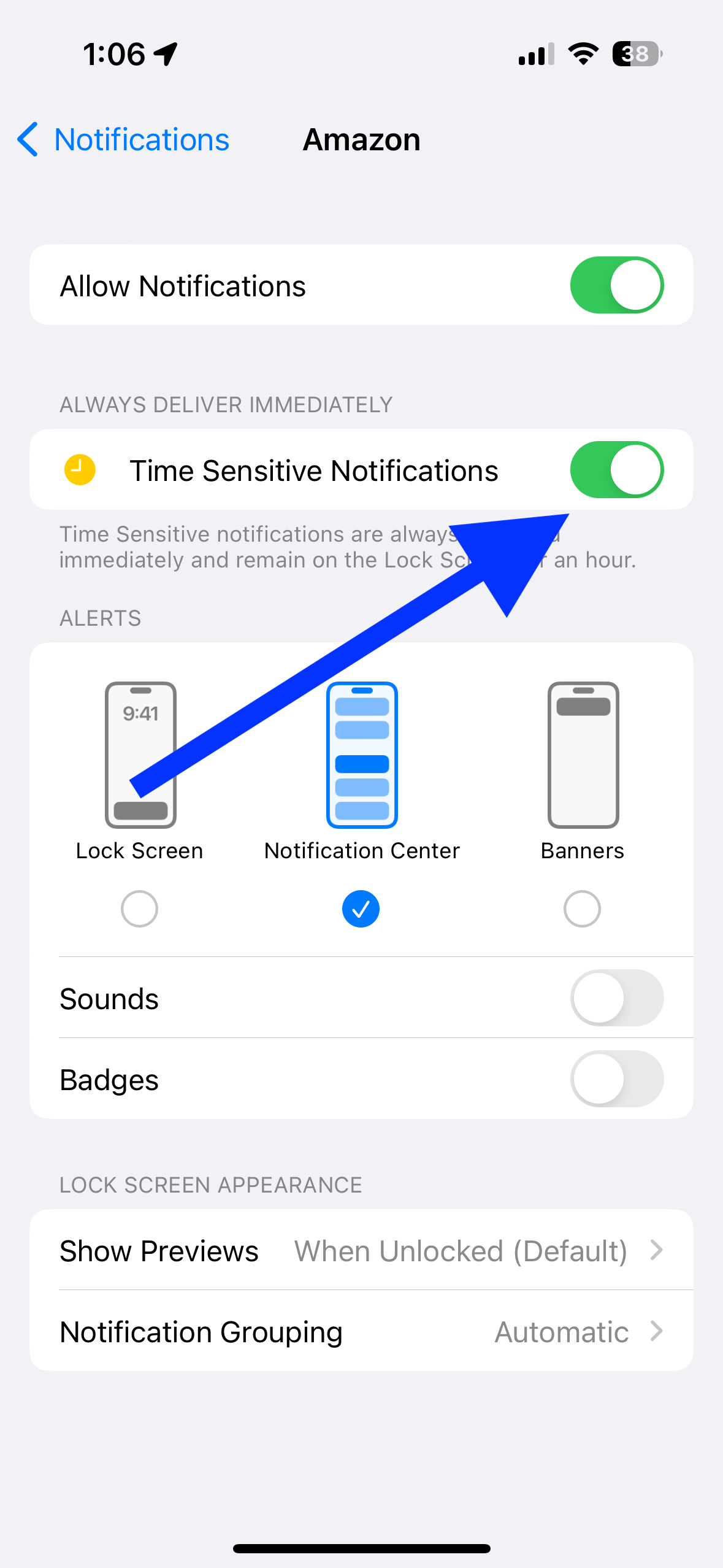 Time Sensitive Notifications switch