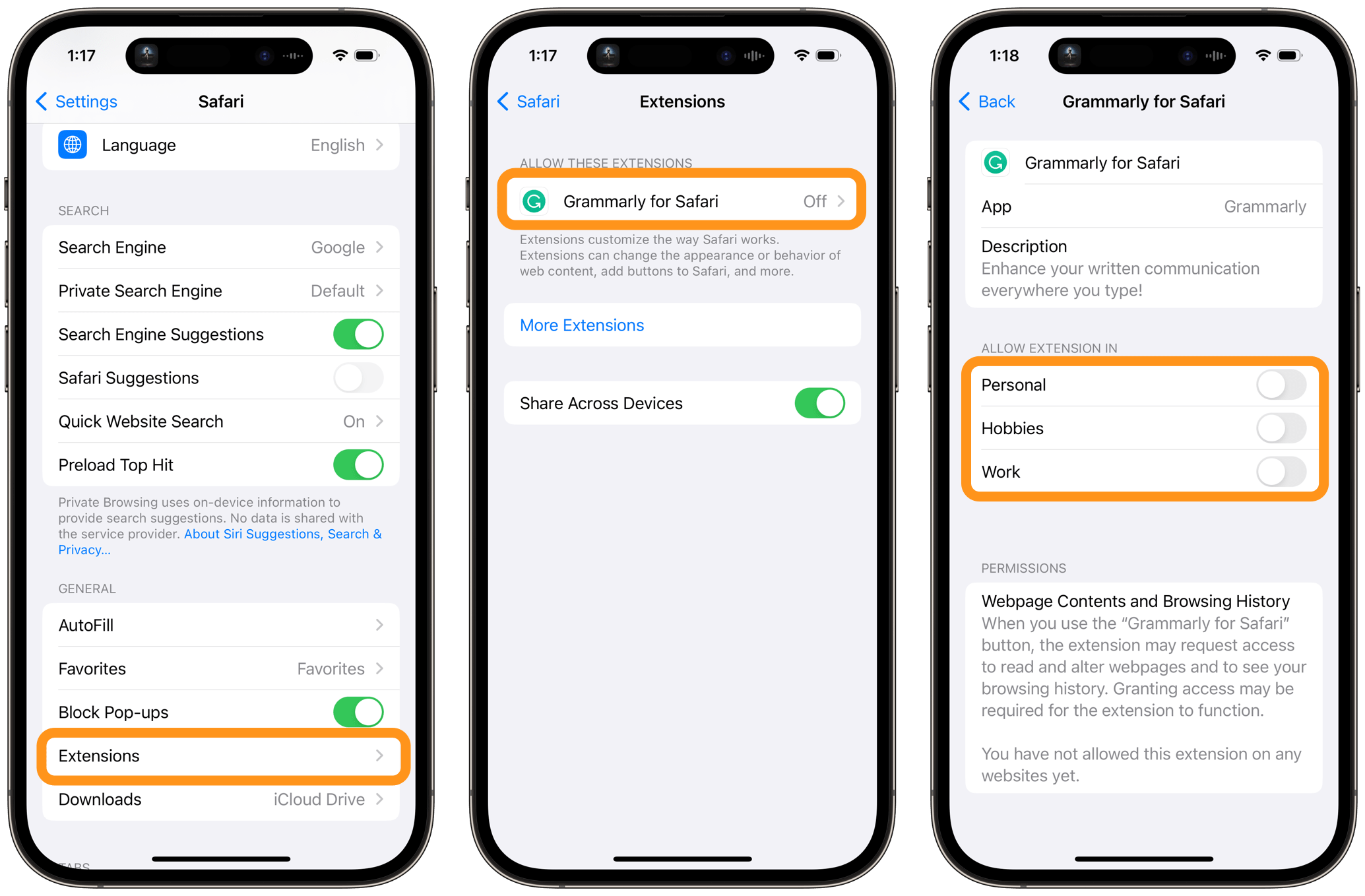 settings safari extensions on iPhone