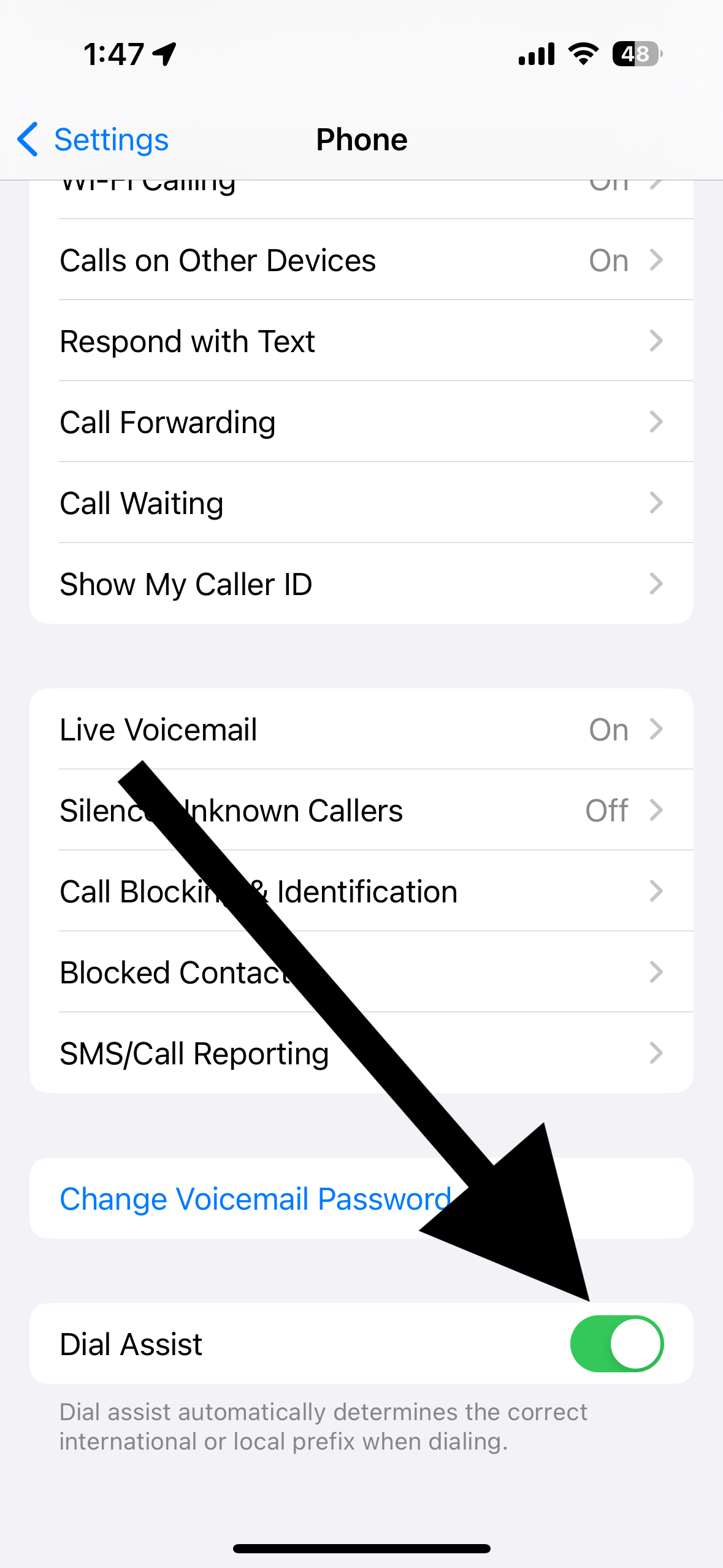 Dial Assist on iPhone