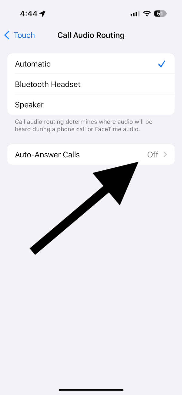 Auto-Answer Calls button