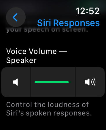 Voice Volume - Speaker setting screen