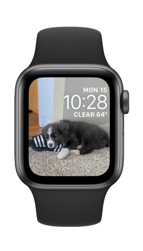 How to Use a Photo as Your Apple Watch Background